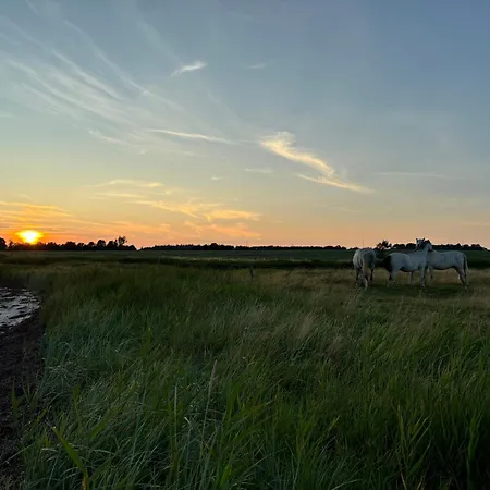 Nedlagt Gard I Naturen Med Ro Og Fred Og Samtidig Taet Pa Og Fiskeri Og Indkobsmuligheder Nordborg
