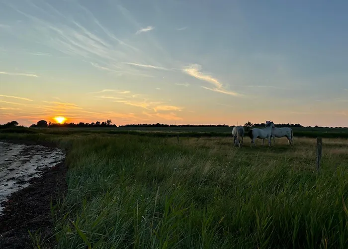 Nedlagt Gard I Naturen Med Ro Og Fred Og Samtidig Taet Pa Og Fiskeri Og Indkobsmuligheder Nordborg
